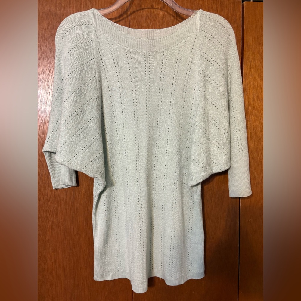 The Limited knit top
